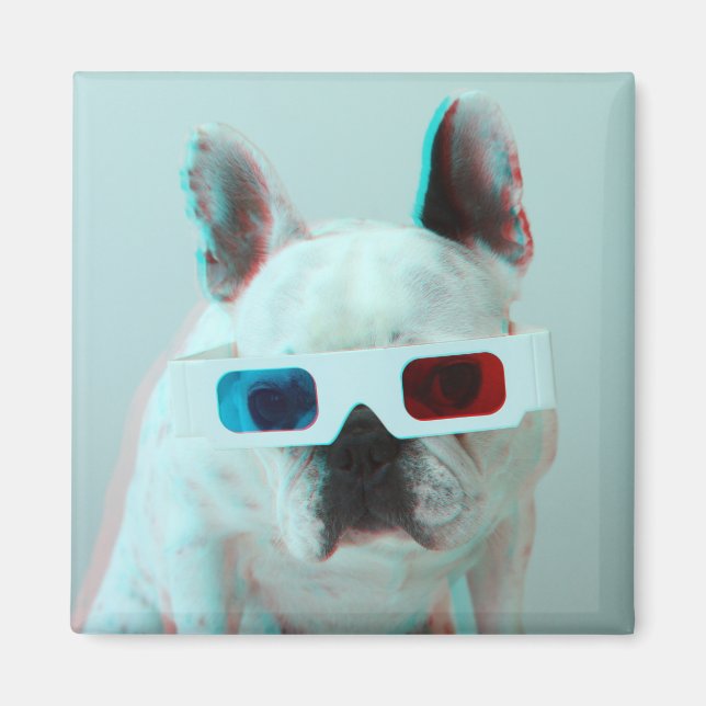 Imã Buldogue Francês Com Óculos 3D (Frente)