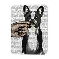 Buldogue francês e bigode indicador