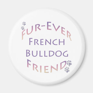 Imã Buldogue Fuere Francês