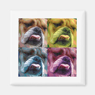 Imã Buldogue inglês