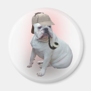 Imã Buldogue inglês