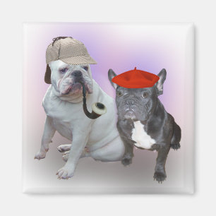 Imã Buldogue inglês e buldogue francês
