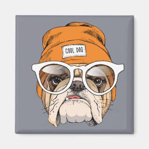 Imã Buldogue legal do hipster