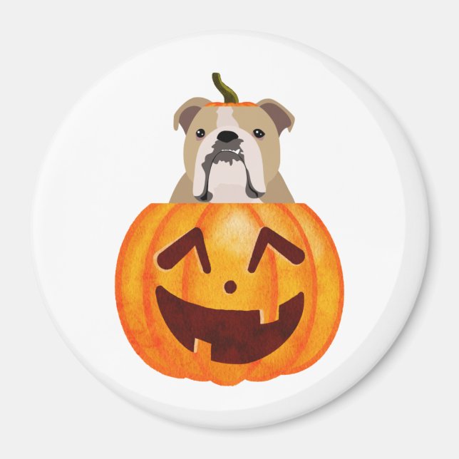 Imã Buldogue Pumpkin (Frente)