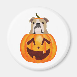 Imã Buldogue Pumpkin