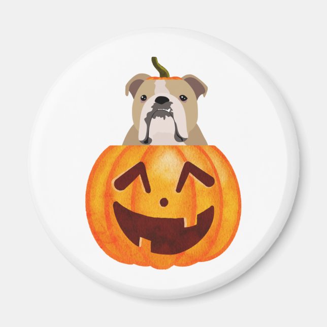 Imã Buldogue Pumpkin (Frente)