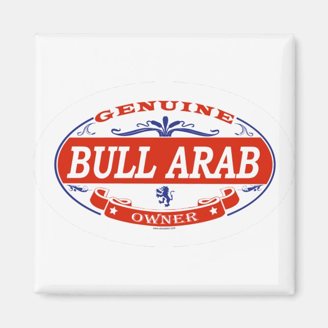 Imã Bull Árabe (Frente)