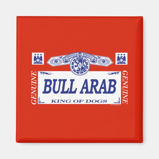Imã Bull Árabe (Frente)