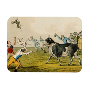 Ímã "Bull Baiting", pub. de Thomas McLean, 1820,