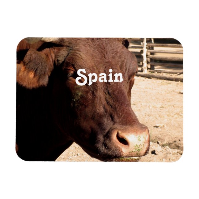 Ímã Bull espanhol (Horizontal)