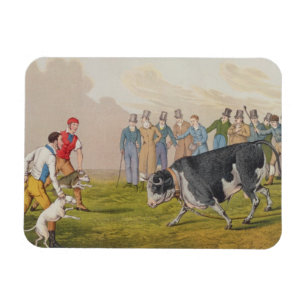 Ímã "Bull que atrai", pub.by Thomas McLean, 1820,