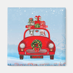 Imã Bull Terrier Dog In Car With Santa Claus