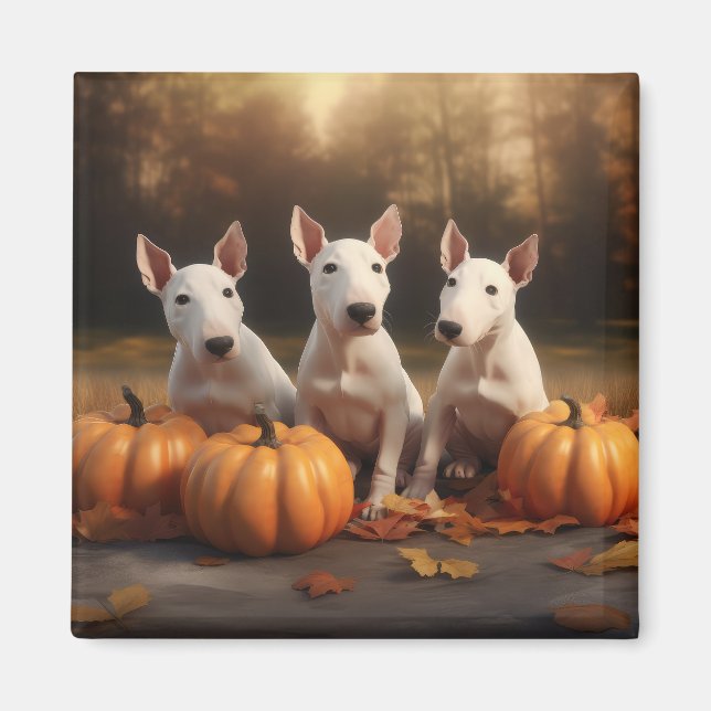 Imã Bull Terrier Puppy Autumn Delight Pumpkin (Frente)