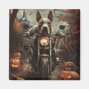 Imã Bull Terrier Riding Motorcycle Halloween Scareen