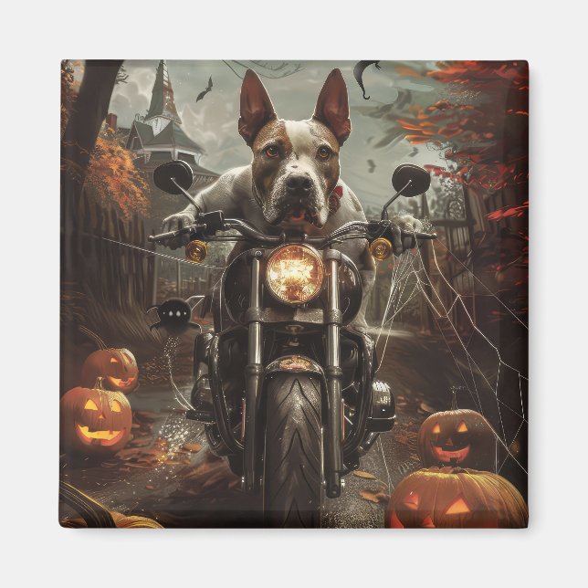 Imã Bull Terrier Riding Motorcycle Halloween Scareen (Frente)