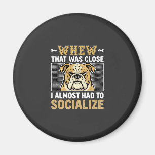 Imã Bulldog Engraçado Socializar Cachorro
