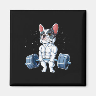 Imã Bulldog Francês Levantando Engraçado Giro-Morro