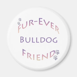 Imã Bulldog Fuer