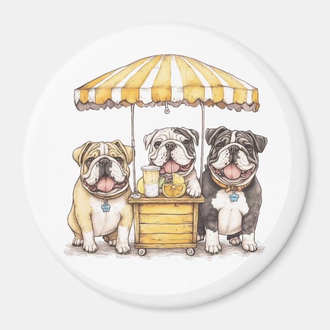 Imã Bulldog Inglês Correndo Pista De Limonada (Frente)