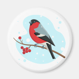 Imã Bullfinch. Belo inverno