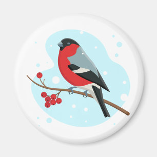 Imã Bullfinch. Belo inverno