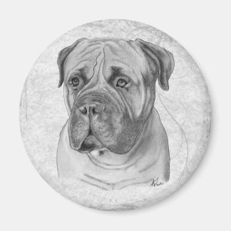 Imã Bullmastiff