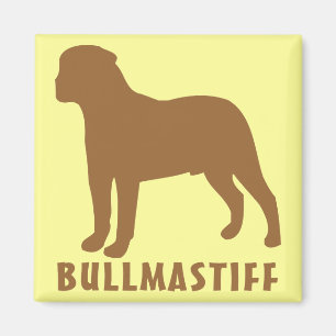Imã Bullmastiff