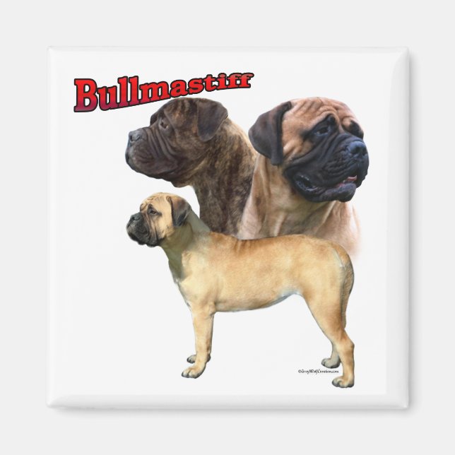 Imã Bullmastiff Trio 2 - Magnet (Frente)