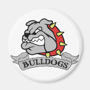 Imã Bulls