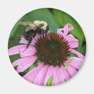 Imã Bumble Bee