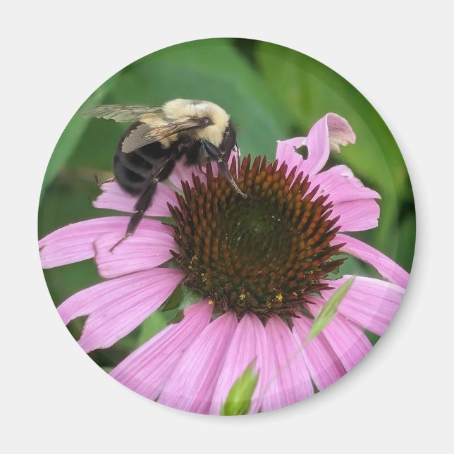 Imã Bumble Bee (Frente)