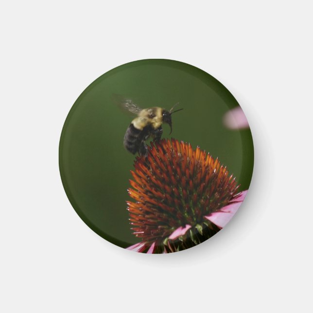 Imã Bumble Bee (Frente)