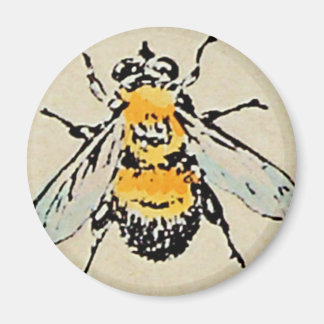 Imã Bumble Bee Magnet