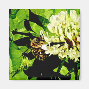 Imã Bumble Bee Magnet
