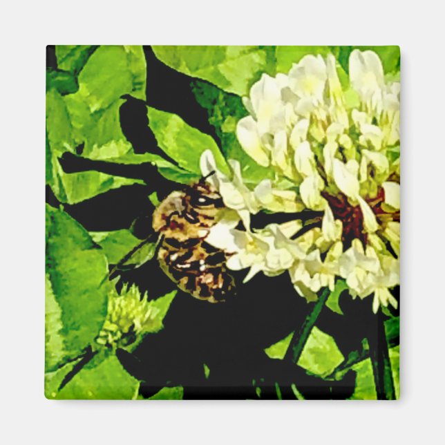 Imã Bumble Bee Magnet (Frente)