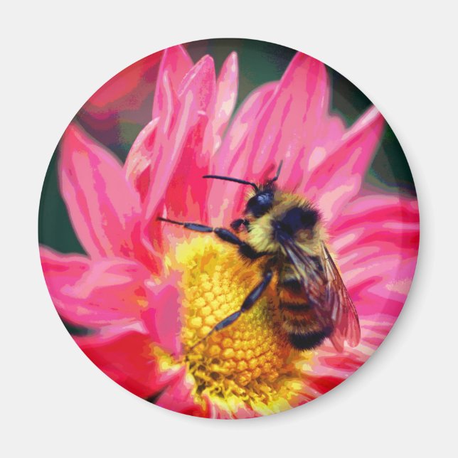 Imã Bumble Bee On Pink Daisy Flower Art  (Frente)
