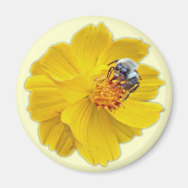 Imã Bumblebee no Cosmos (Frente)