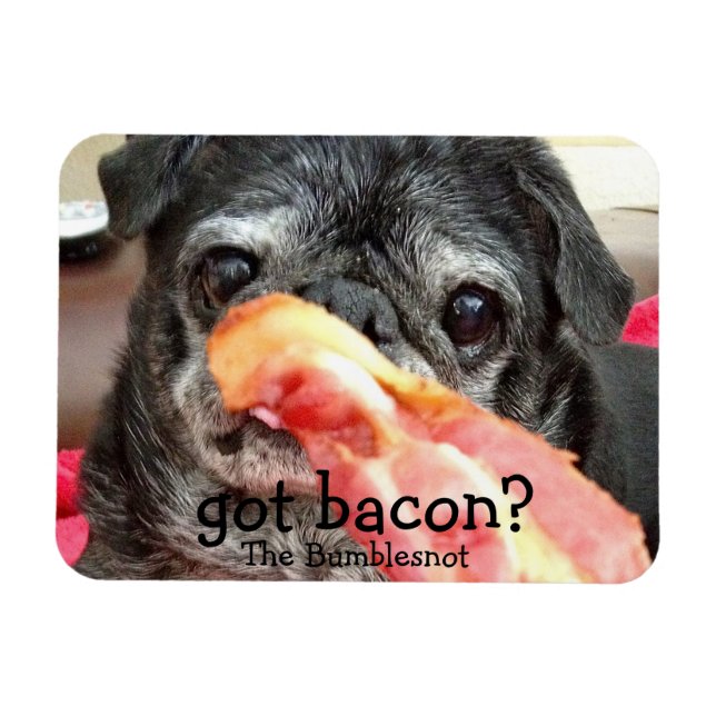 Ímã Bumblesno Magnet: tem bacon? (Horizontal)