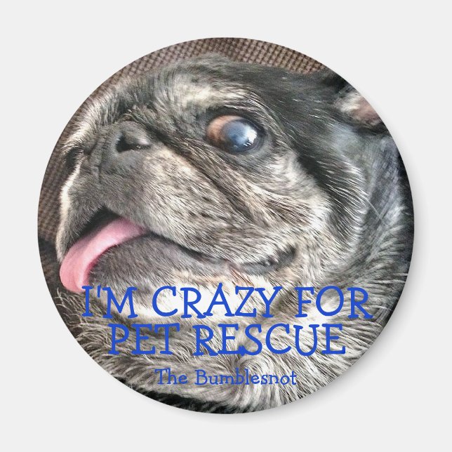 Imã Bumblesnot magnet: Eu sou louca por Pet Rescue (Frente)