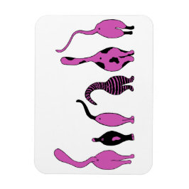 Ímã Bumbuns de Gato Roxo