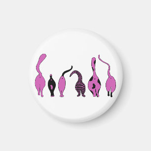 Imã Bumbuns de Gato Roxo