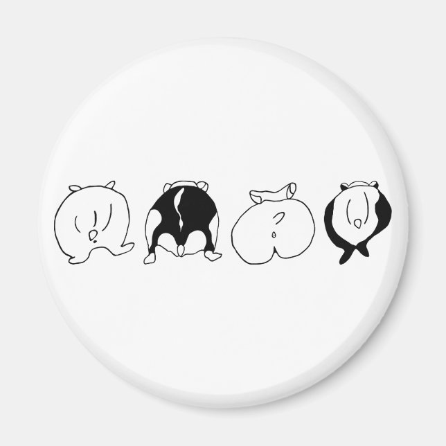 Imã Bumbuns de hamster (Frente)