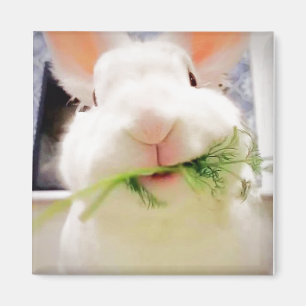 Imã Bunny Magnet