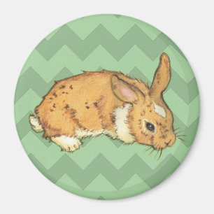 Imã Bunny Sage Chevron Duo