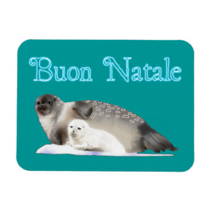 Ímã Buon Natale - Ringed Seal