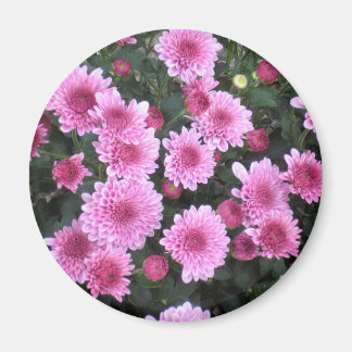 Imã Buquê da Natureza: Primavera