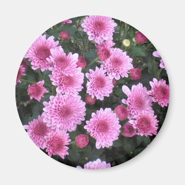 Imã Buquê da Natureza: Primavera (Frente)