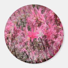 Imã Buquê de Amaryllis.....