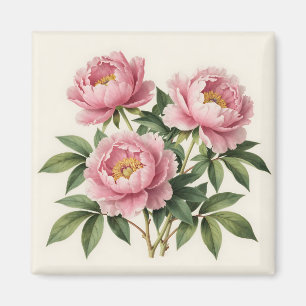 Imã Buquê de Peônia Rosa Ilustração Botânica Vintage
