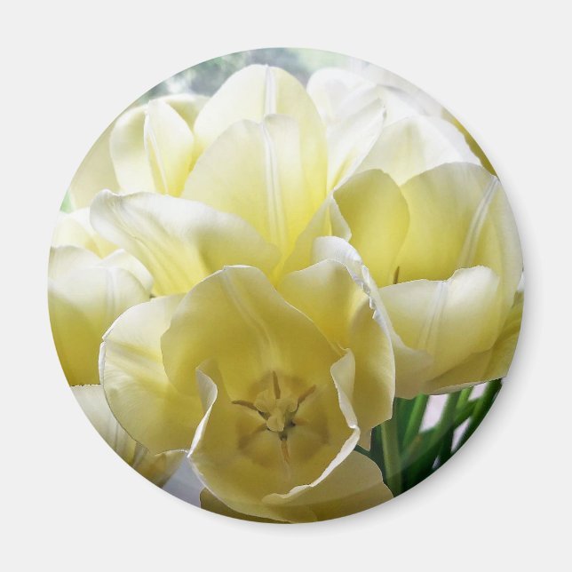 Imã Buquê de Tulipa Amarelo (Frente)
